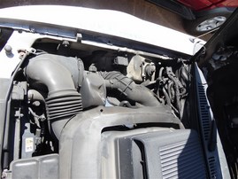 2003 FORD MUSTANG COUPE MACH 1 WHITE 4.6 MT PREMIUM F20109